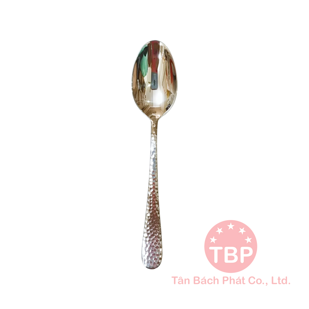 Muỗng ăn phụ DTR304